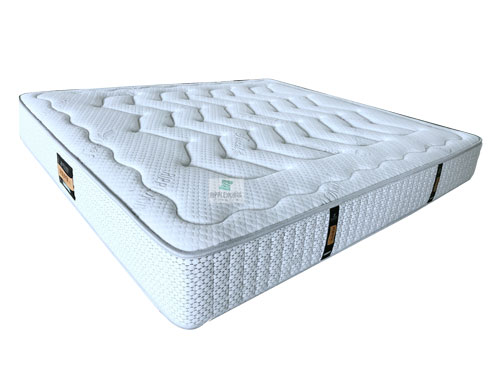 The hotel mattress